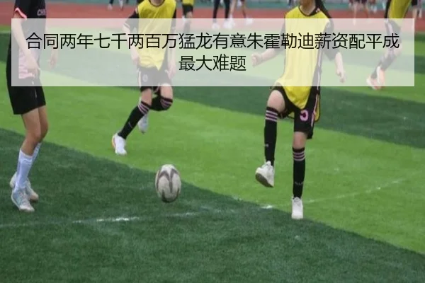 合同两年七千两百万猛龙有意朱霍勒迪薪资配平成最大难题